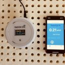 다이아린 이미지