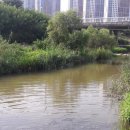 평택시 배다리저수지1 이미지