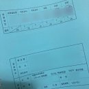 동안고등학교 앞 | [교원자격증] 비사대 교직이수 교생실습 후기 / 수업파일 공유(정치외교학과 일반사회)