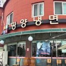 시랑생활체육관 | 면을 직접 뽑는 안산 평냉 맛집 <시랑면옥>