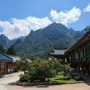 소로3-판암49 | 속초 신흥사 : 설악산의 숨결과 통일의 염원이 머무는 곳 설악산의 깊은 산문을 지키는 천년 고찰