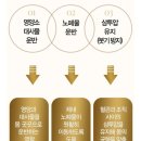 40대 기력관리 영양제 고민된다면? 고함량 알부민 베스타 알부민 후기