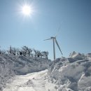 소유목장 이미지