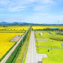 버그내순례길 티스토리