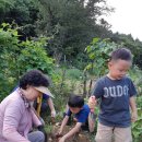 진현농장 이미지