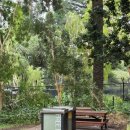 동물원주유소 개방화장실 | [호주] 퍼스 시티 근처 퍼스 동물원(Perth Zoo) 후기 | 호주 대표 동물과 다양한 동물을 볼 수 있는 곳