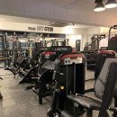 팀히트짐 이미지