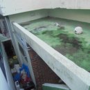 하대동345 이미지