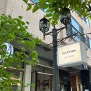 죽전로 27번길L | 용인 죽전꽃집 일리아 기념일 꽃다발 추천