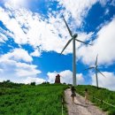 매봉산 바람의언덕 이미지