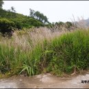 이명은 농장 | 이명증 원인과 증상 관리법까지 알아가요