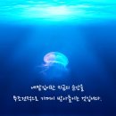 블로그-지금 이 순간을 살아라/내맡김 이미지