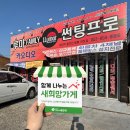 리솔썬팅