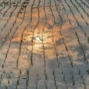 하도태양광발전소 이미지