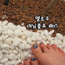 쌍용자동차장유서비스 프라자 | 장유네일샵 멜로우 네일앤뷰티 김해장유점 여름 패디 데님블루 후기