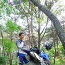 조야초등 이미지