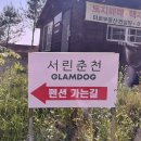 춘천 애견동반 펜션 서린 프라이빗한 개별운동장이 있는 독채숙소 내돈내산 솔직후기