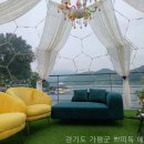 쁘띠독애견펜션 이미지