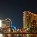 상징분수, 워터월 | 라스베가스 여행 추천 | 벨라지오 분수쇼 후기(벨라지오 분수쇼 시간·라스베가스 야경 필수 코스)