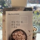 하추리 카페 | (인제-카페)강아지 동반 가능하고 넓은 야외 테이블이 있는 카페 하추리 내돈내산 후기