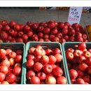 석바위시장 이미지