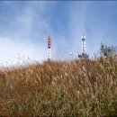 나의목장 이미지