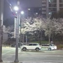 투썸플레이스원주관설점 | 퇴근 후 당 충전, 투썸 신메뉴 '딸기초코 모나카 눈꽃컵' & '우베 라떼' 솔직 후기