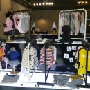 도기 Doggie 이미지