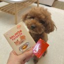 스푼풀코리아 이미지