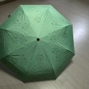 미도리작업실 | (내돈내산) 미도리작업실 단우산 솔직후기