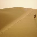 사랑의 날개 이미지