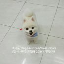 괴정3동-3 이미지