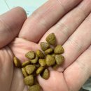 닥터펫푸드 이미지