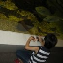 동진 수족관 이미지