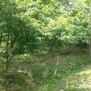 장자농장 이미지