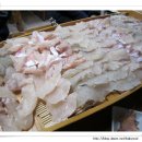 넙치민박 이미지