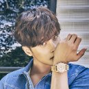 성훈펜션 bnt뉴스