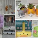 댕꼽시계 이미지