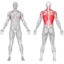 반송헬스타운2호점 이미지