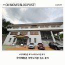 영동 국악체험촌 & 국악체험촌 숙소 후기｜아이와 2박 솔직 리뷰