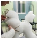 아이러브독 애견미용실 이미지