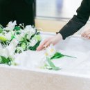 후불제상조 진심이닿도록