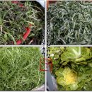 전통시장 맛내는거리 이미지