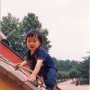 짱태권도 이미지