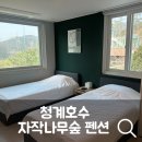 청계호수 자작나무숲 펜션 | 포천 펜션 ‘청계호수 자작나무숲 펜션’ 후기