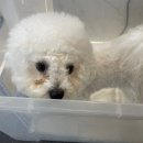 서창사랑동물병원 이미지