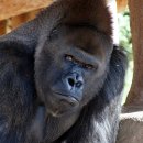 도풀이네 이미지