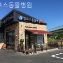 알프스동물병원 이미지