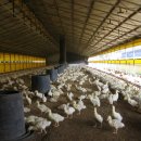 우리축사 이미지