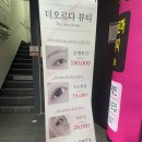 오르다뷰티